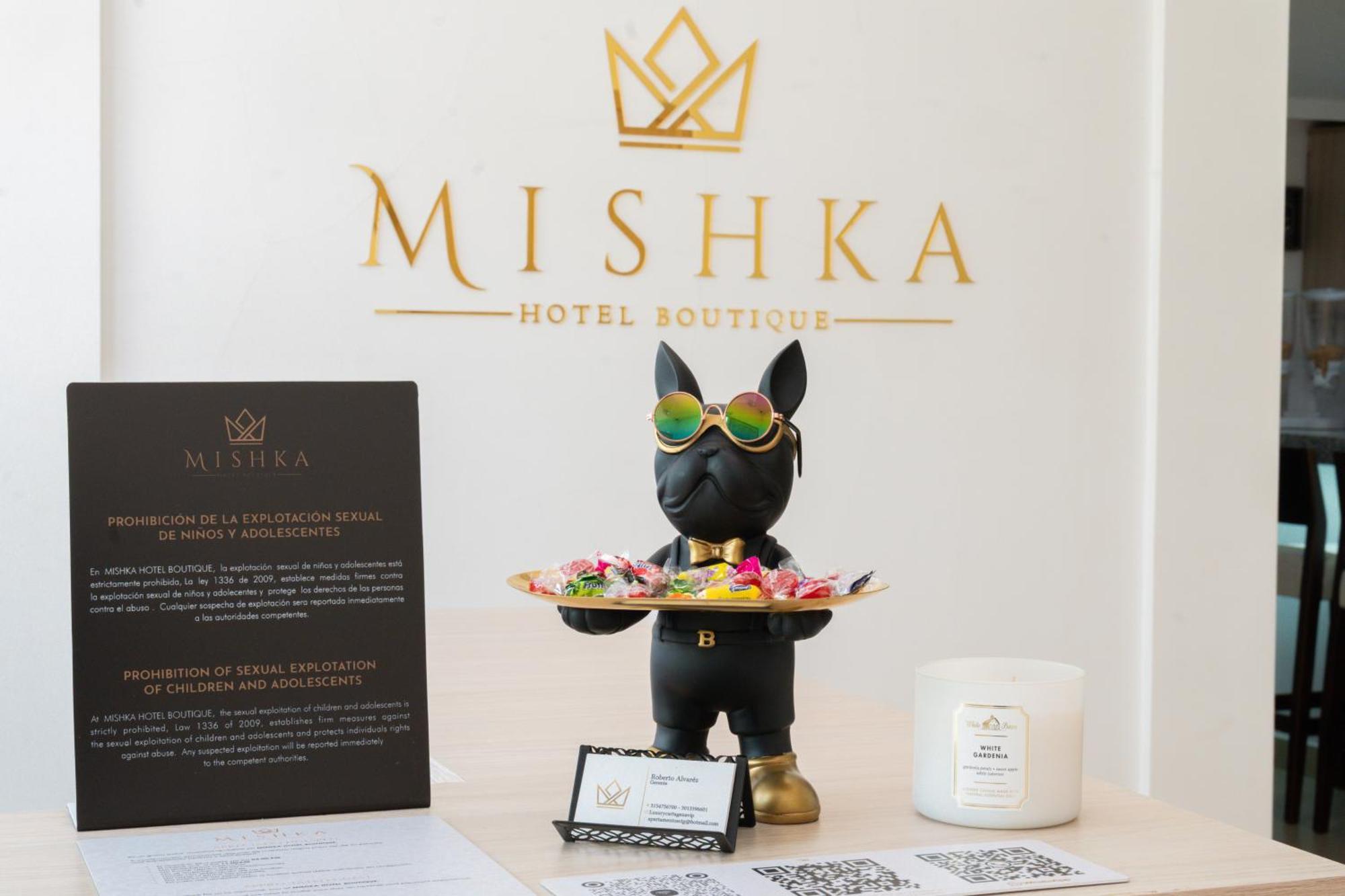 Guest house Casa Mishka Boutique #104 Nuevo